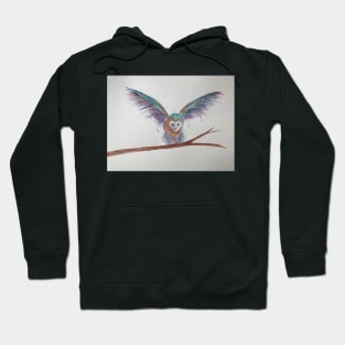 Owl landing Hoodie